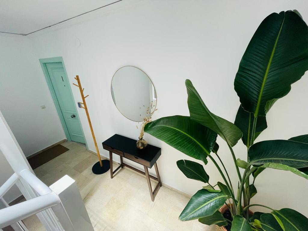 דניה Pare Pere Rooms מראה חיצוני תמונה